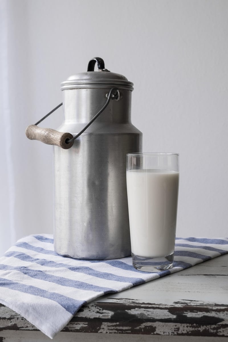 Milk Jug Watering Cans